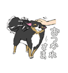 MIX犬 ポメパピさんの日常スタンプ（個別スタンプ：35）