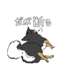 MIX犬 ポメパピさんの日常スタンプ（個別スタンプ：38）