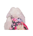 フレンチロップの紫乃すたんぷ（個別スタンプ：24）