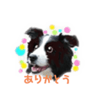 ボーダーコリー Andyとおしゃべり♬（個別スタンプ：2）