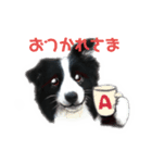 ボーダーコリー Andyとおしゃべり♬（個別スタンプ：5）