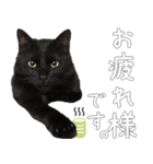 黒猫のひじきです。（個別スタンプ：2）