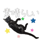 黒猫のひじきです。（個別スタンプ：39）