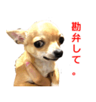 ちくわ1号（個別スタンプ：1）