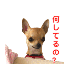 ちくわ1号（個別スタンプ：2）
