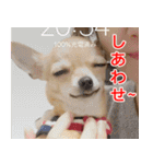 ちくわ1号（個別スタンプ：3）