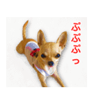 ちくわ1号（個別スタンプ：6）