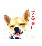 ちくわ1号（個別スタンプ：7）