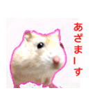 ちくわ1号（個別スタンプ：8）