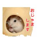 ちくわ1号（個別スタンプ：9）