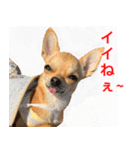 ちくわ1号（個別スタンプ：10）
