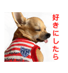 ちくわ1号（個別スタンプ：13）