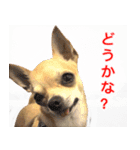 ちくわ1号（個別スタンプ：14）