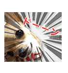 ちくわ1号（個別スタンプ：15）