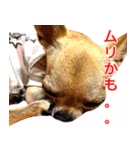 ちくわ1号（個別スタンプ：16）