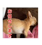 ちくわ1号（個別スタンプ：17）