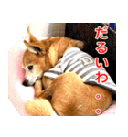 ちくわ1号（個別スタンプ：19）