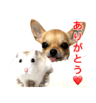 ちくわ1号（個別スタンプ：20）