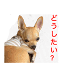 ちくわ1号（個別スタンプ：21）