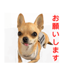 ちくわ1号（個別スタンプ：22）