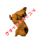 ちくわ1号（個別スタンプ：25）
