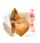 ちくわ1号（個別スタンプ：26）