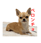 ちくわ1号（個別スタンプ：27）