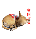 ちくわ1号（個別スタンプ：28）