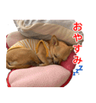 ちくわ1号（個別スタンプ：30）