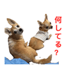 ちくわ1号（個別スタンプ：31）