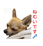 ちくわ1号（個別スタンプ：32）