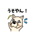 フレンチブルドッグの日常 関西弁（個別スタンプ：9）