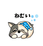 フレンチブルドッグの日常 関西弁（個別スタンプ：14）