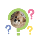 コロン、フクスタンプ（個別スタンプ：16）