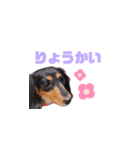 ちろんぷ（個別スタンプ：11）