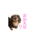 ちろんぷ（個別スタンプ：19）