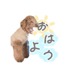 ちゃちゃ丸スタンプ②（個別スタンプ：1）