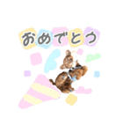 ちゃちゃ丸スタンプ②（個別スタンプ：13）