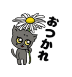 黒猫ハンサム君。（個別スタンプ：1）