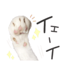 ジジ☆すたんぷ（個別スタンプ：7）