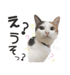 ジジ☆すたんぷ（個別スタンプ：8）