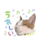 ジジ☆すたんぷ（個別スタンプ：12）
