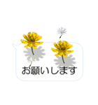 スマホの上の花と風《Ver. 02》（個別スタンプ：5）