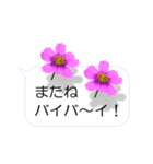 スマホの上の花と風《Ver. 02》（個別スタンプ：12）