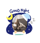 ぽこ太郎スタンプ☆（個別スタンプ：6）