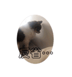 ぽこ太郎スタンプ☆（個別スタンプ：15）