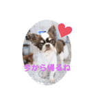 ぽこ太郎スタンプ☆（個別スタンプ：32）