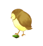 フクロウのモリーの日常（個別スタンプ：3）