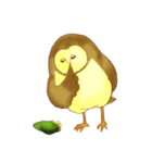 フクロウのモリーの日常（個別スタンプ：4）