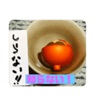 お猪口の中から一言！（個別スタンプ：9）